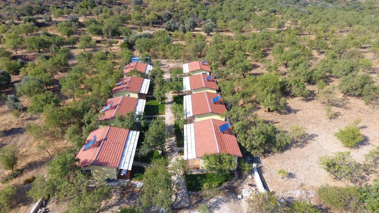 Hotel Selerdoga Evleri Palamutbükü Exterior foto