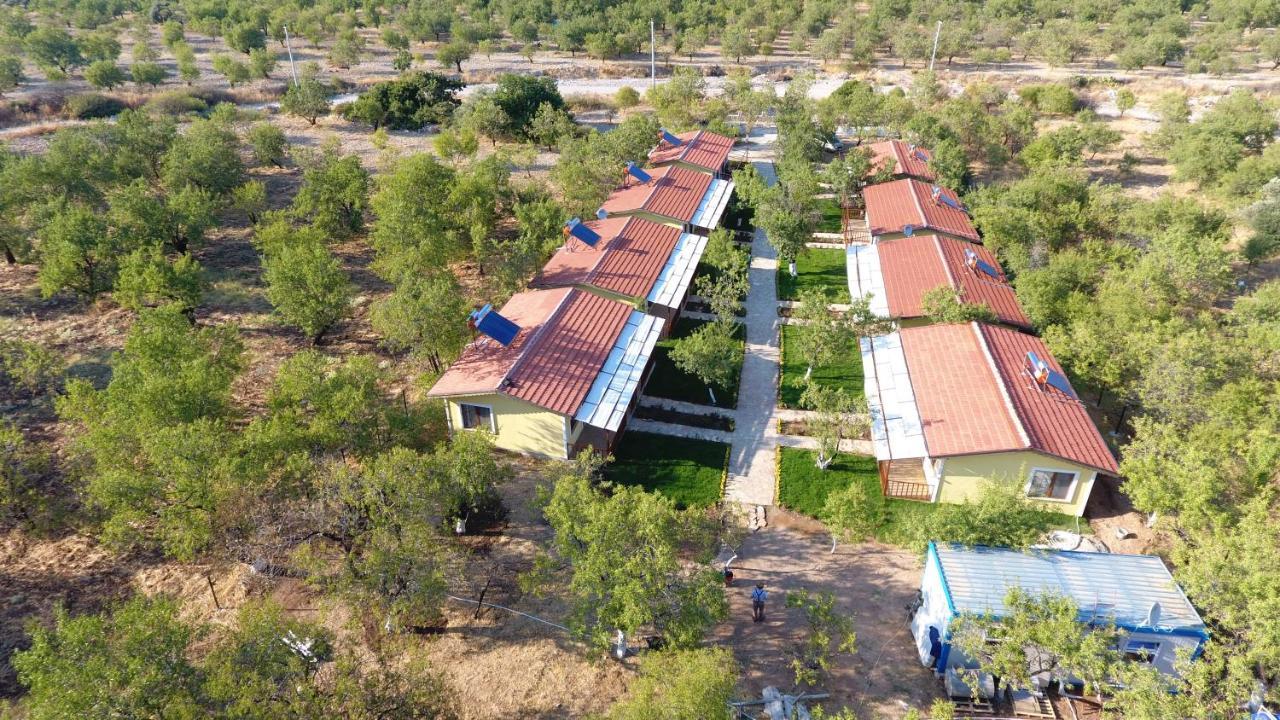Hotel Selerdoga Evleri Palamutbükü Exterior foto
